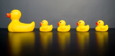 Are your business ducks in a row?