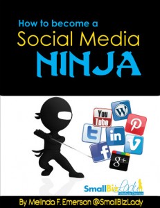 Social Media Ninja